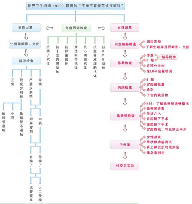 不孕不育检查流程